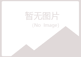 兴山区分心能源有限公司